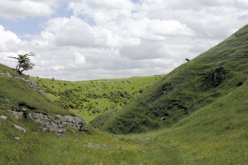 Tansley Dale Tansley Dale